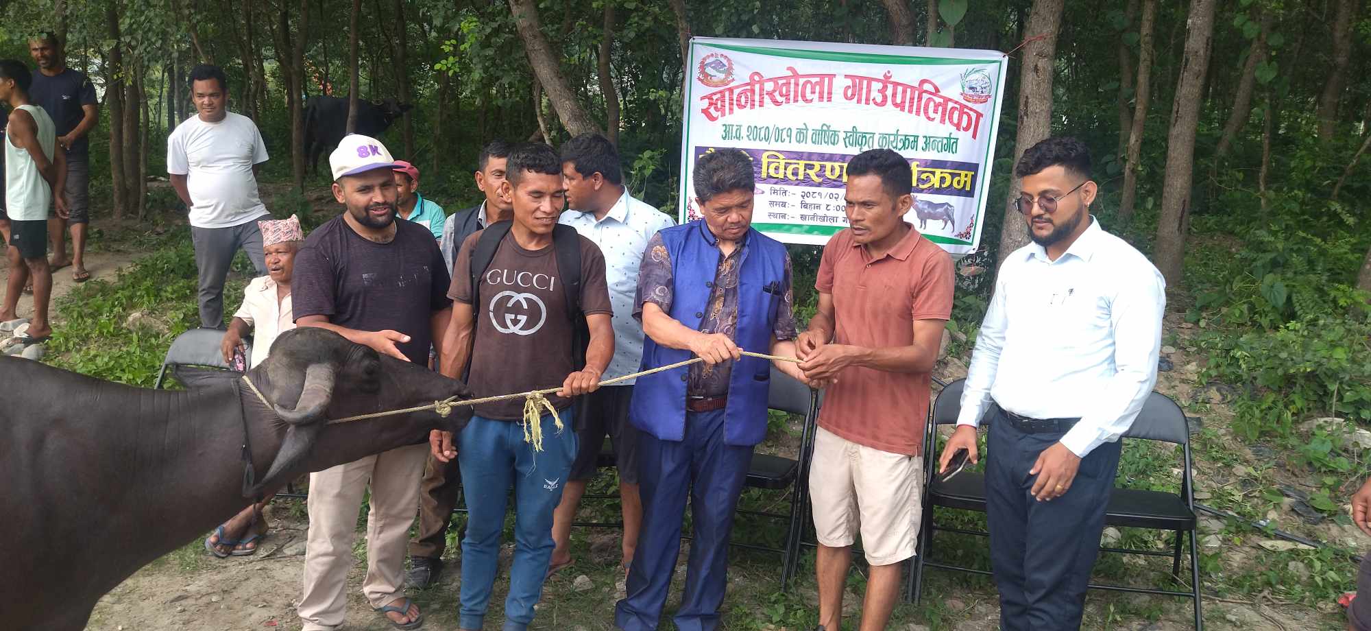 खानीखोलाका किसानलाई अनुदानमा भैँसी वितरण