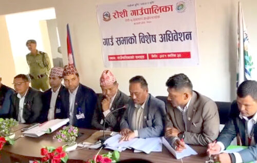 रोशीमा विशेष गाउँ सभा